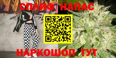 гашик Обнинск