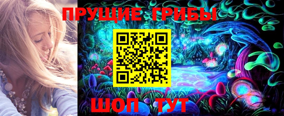 Псилоцибиновые грибы Cubensis Нягань