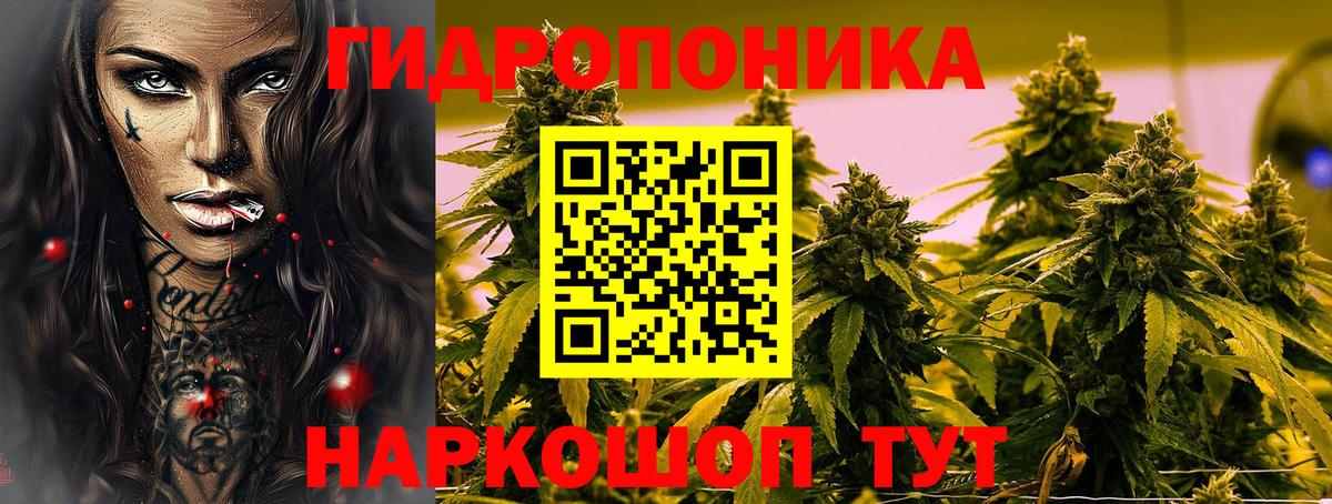 Шишки марихуана план  Бошки марихуана планчик  Вход с VPN  Бошки марихуана VHQ  Нягань 
